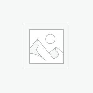 Journey Through Stories